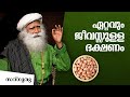       superfood to boost energy antiageing sadhguru malayalam