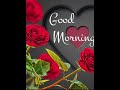 Good Morning Status Vidio. Good Morning whatsapp Status Video