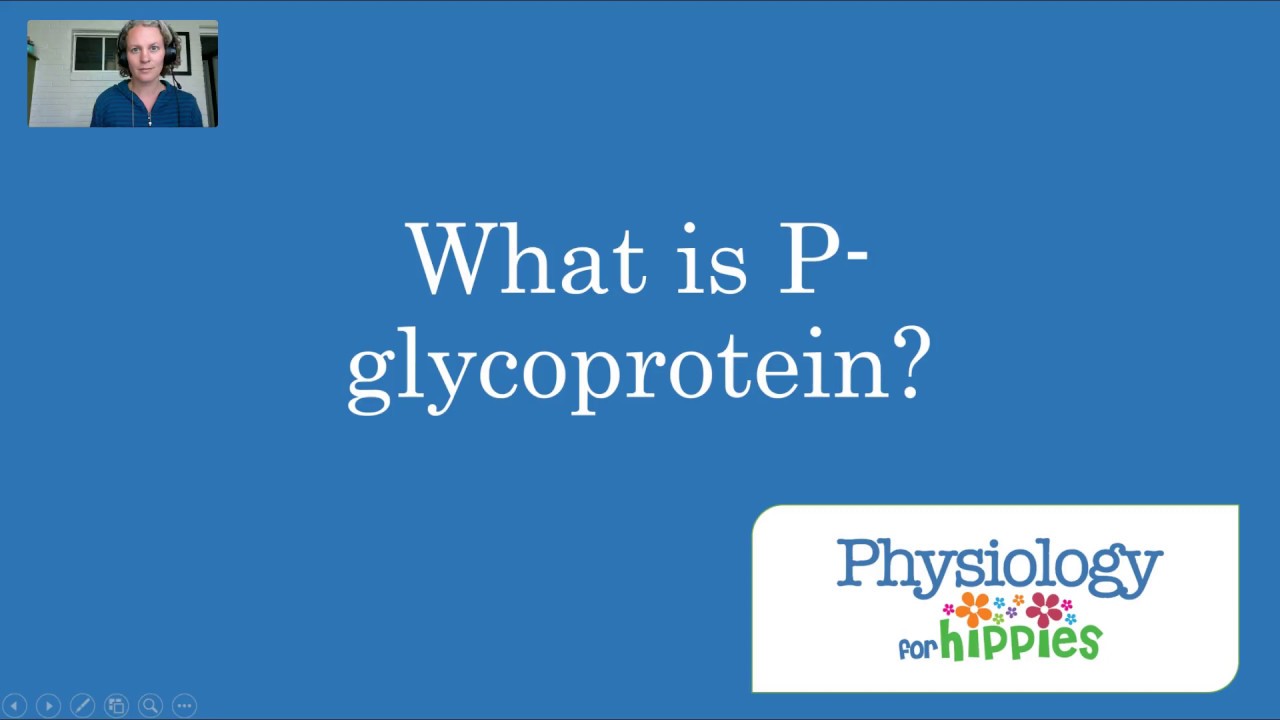 What is Pglycoprotein? YouTube