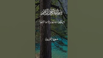 تلاوة خاشعة ومؤثرة بصوت جذاب ومؤثر #القرآن_الكريم #تلاوة_خاشعة #تلاوة_مؤثرة #اكسبلور #دويتو