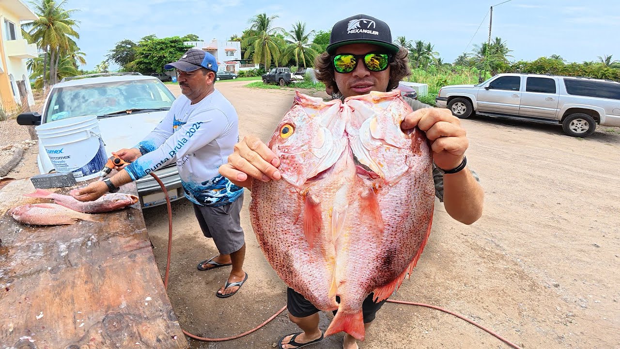 Captura y Cocina Pargo Zarandeando y Frito! 