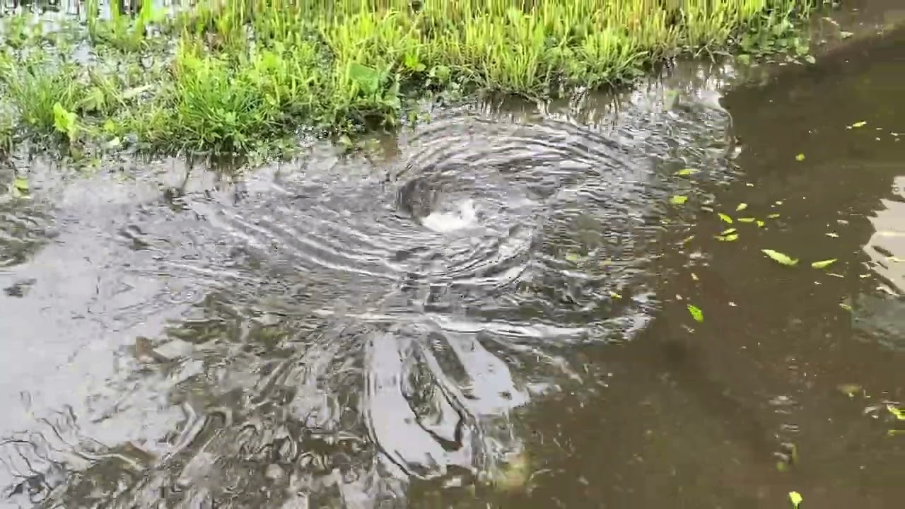 Очистка ливневых стоков 6 4 2023