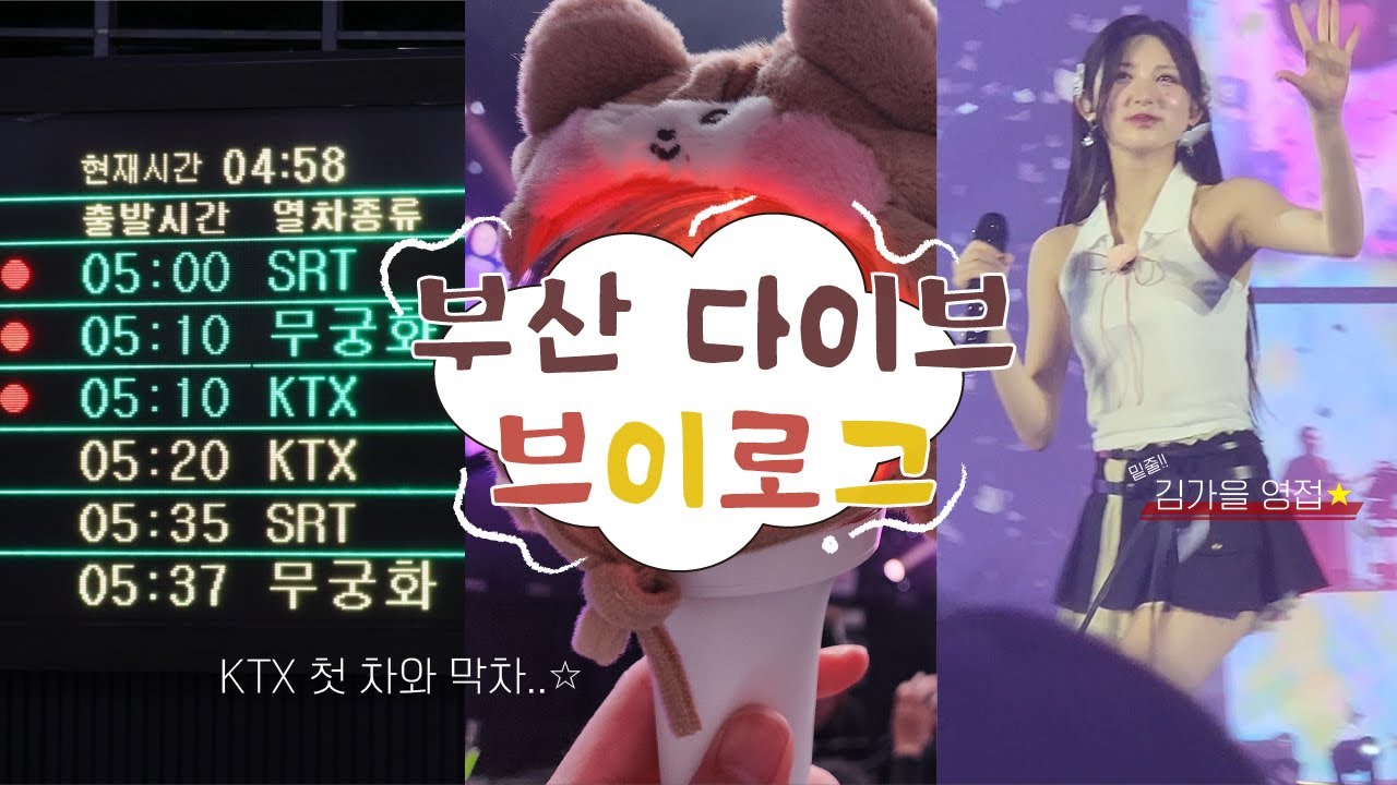 [다이브 브이로그] 새벽 일찍 부산에서 출발하고 다음날 밤까지 새는 폴프가 있다?? | 아이브 show what i have 앙콘 양일 후기! | #다이브로그#폴프#플로어