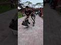 skating stunt, don't try it without any training #skating #skater #skate #skatersharif #reels