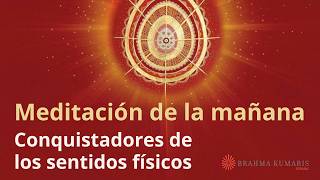 Meditación de la mañana: Conquistadores de los sentidos físicos, por Guillermo Simó.
