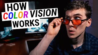 How COLOR VISION Works (Types of Color Blindness, Genetics & Disease) Resimi