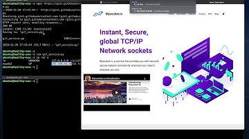creating static DNS names with Mysocket.io