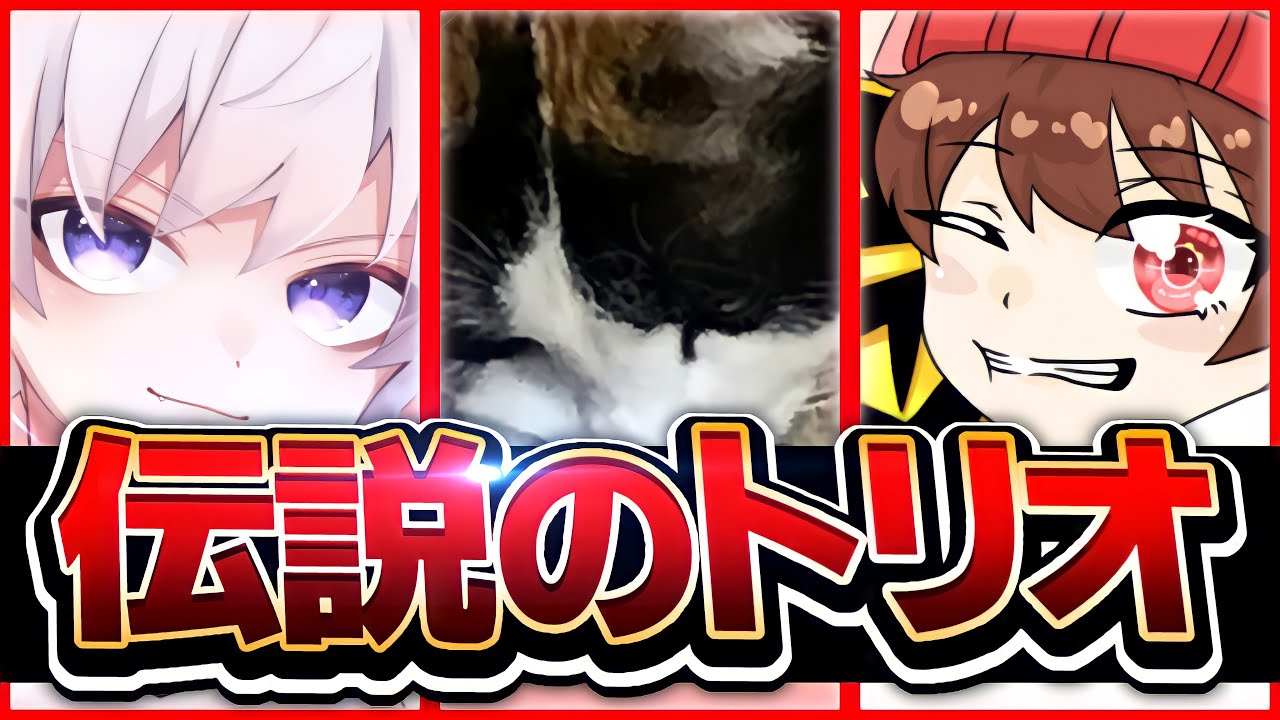 【復活】あの最強トリオが帰ってきた！！！【フォートナイト/Fortnite】