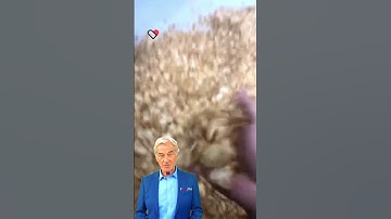 #fcnfm #machine Comparison Shopping for Your Drying Room