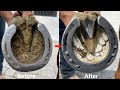 Farrier-Hoof Restoration-Satisfying