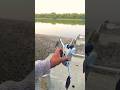 Dji drone ready video #shorts #viral #djimini3