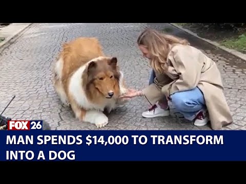Man spends ,000 to transform into a dog