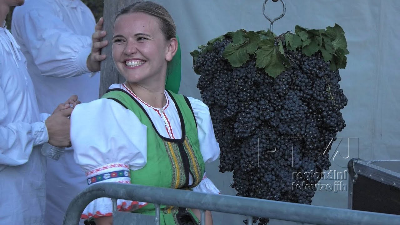 Velké Pavlovice oslavily vinobraní ve velkém. Jako každý rok