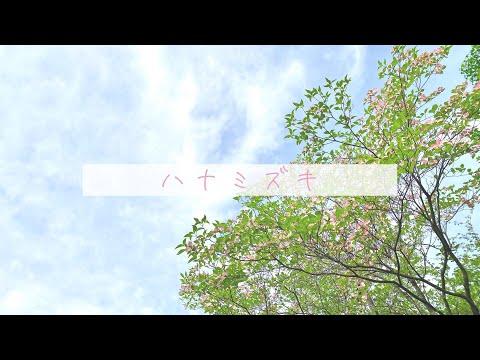 【小絃】ハナミズキ／一青窈【歌ってみた】