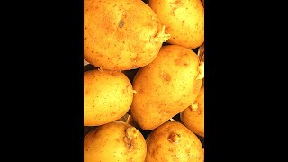 Sprouting Potatoes Timelapse #Shorts