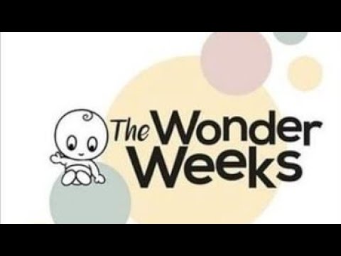 The Wonder Weeks App Review