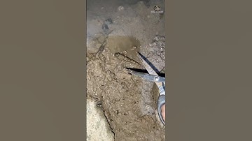Extreme Technique for Catching Mudskipper Fish ||