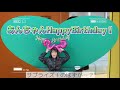 【誕生日】あんちゃんおめでとうサプライズ!のはずが、、?😂【原駅ステージA】