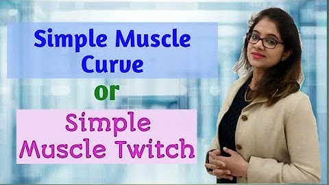 What is simple muscle curve?