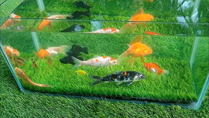 Long Grass Mat Aquarium Decoration – Aquafaux