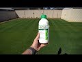 All About Pre-Emergent Herbicides // FAQ and Tips