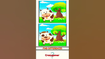 FIND THE DIFFERENCES #differences #findthedifference #shorts