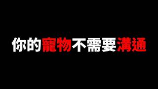 我去上了寵物溝通課！結果發現這東西比我想的還要蠢...