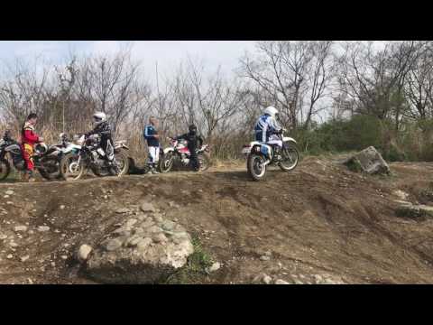IMG 26541