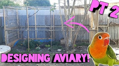 Designing The *NEW* Quail Aviary! | Aviary Build Part 2 | How to Build A Parrot Aviary