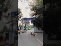 اسلامک ڈیپارٹمنٹ #اسلام #islam #foryou #viral #uk #youtuveshorts #vlog