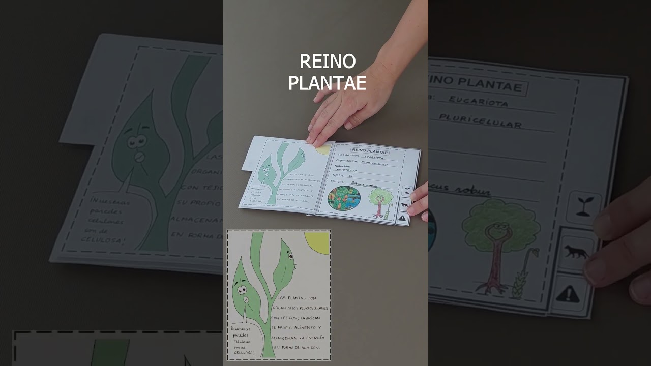 Bienvenidos a un viaje por los reinos de los seres vivos! - YouTube