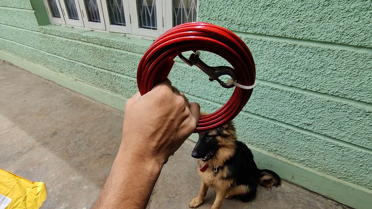 Amazon Basics TieOut Cable/Leash for Dogs up to 57 Kg, 30 Feet Long