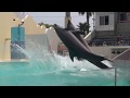 須磨海浜水族園　イルカショー　２回目 の動画、YouTube動画。