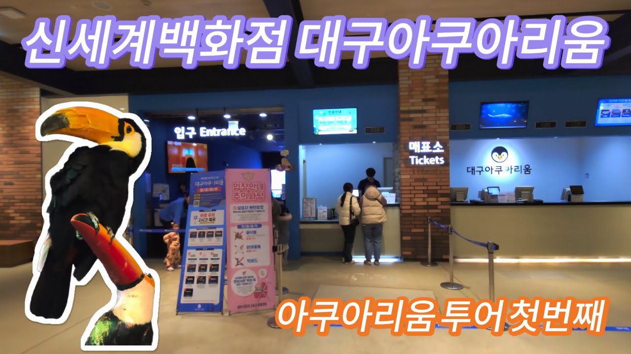 물속 세상으로 떠나는 힐링 여행 🌊 대구 신세계백화점 아쿠아리움 완벽 가이드 🐠🐧🐢