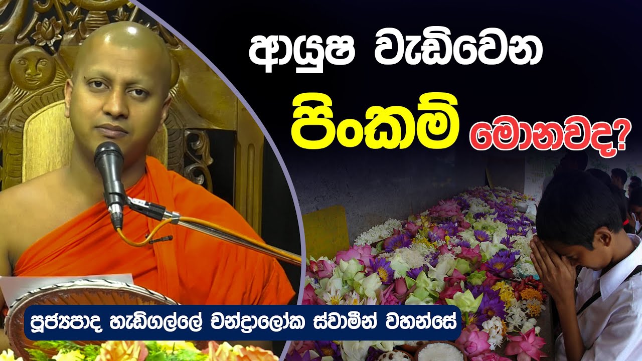 ආයුෂ වැඩිවෙන පිංකම් මොනවද? | Hadigalle Chandraloka thero | Dharma Deshana | D 0659