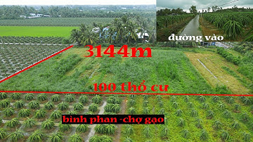 bán 3114m đất có 100m thổ cư tại xã bình phan huyện chợ gạo  tg cách lộ nhựa 150m