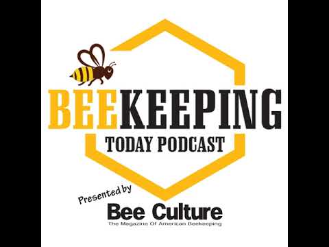 Interviews with Beekeepers, Author Steve Donohoe  (S3, E27)
