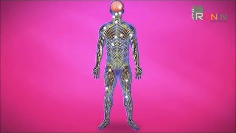 Qué es el pensamiento lógico matemático…