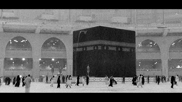 ﴿وَمِن آياتِهِ يُريكُمُ البَرقَ﴾ | تلاوةٌ تَحتَ المَطَر