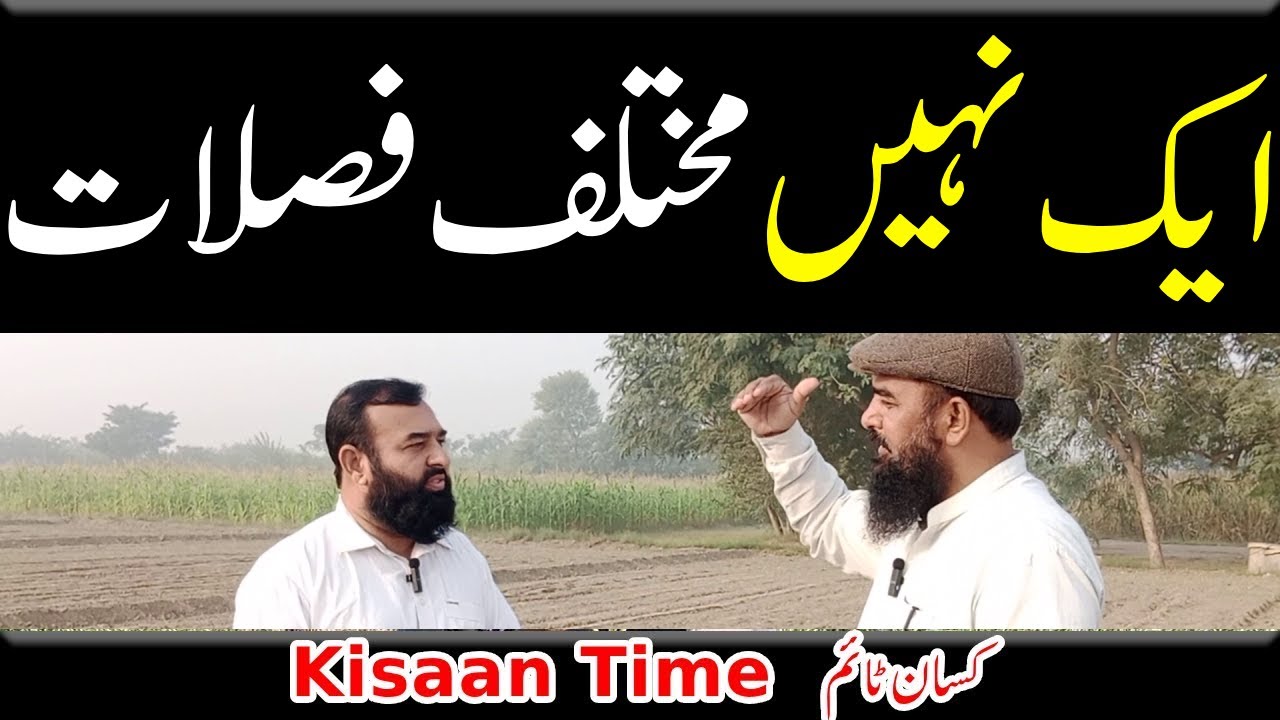 Faslaat ki kasht ki tarteeb, the order of cultivation of crops kisan time Asif Abrar on kisan time