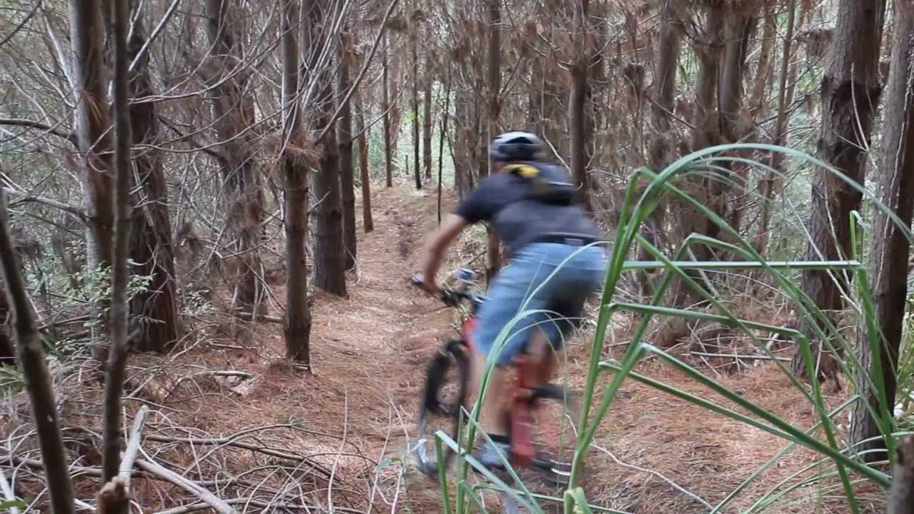 OHOPE BEACH - have an adventure holiday at New Zealand's best beach