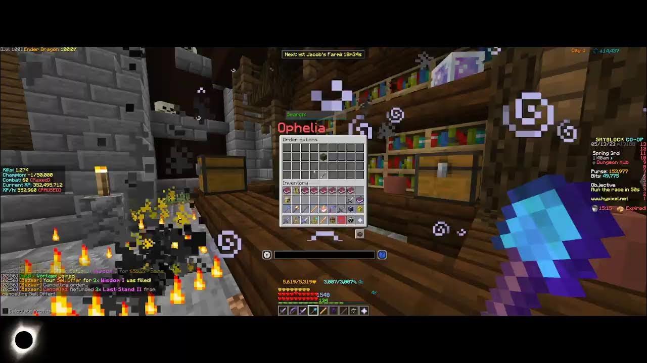 Into the Hypixel SkyBlock Minecraft YouTube