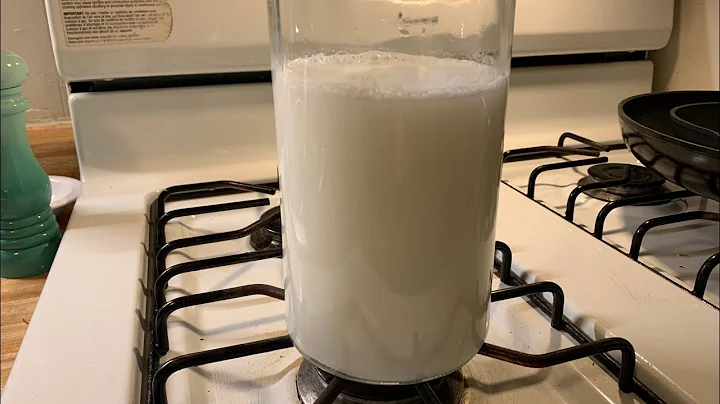 Scott Jurek's Rice Milk Recipe