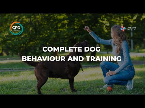 Complete Dog Behaviour and Training | CPD Dog Training Course | Care Skills Training