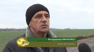 видео: Страусиная ферма Владимира Ивченко картинка: Страусиная ферма Владимира Ивченко