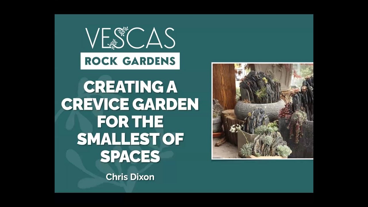 Creating a crevice garden for the smallest of spaces - Chris Dixon