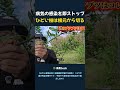 病気の感染を即ストップ ひどい枝は根元から切る