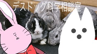 [LIVE] デスドッグ科学相談室