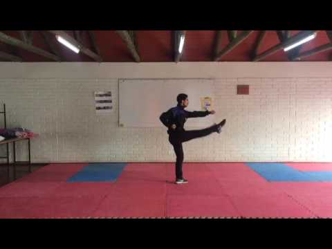 Changquan 16 Wushu