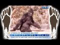 BIGFOOT STORIES • John Zada 3 TV Interviews • Journalist